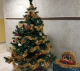 Bratislavské Nové Mesto pomôže pred vianočnými sviatkami takmer dvom stovkám svojich obyvateľov, ktorí sa ocitli v hmotnej núdzi. Mestská časť im v týchto dňoch vyplat…
