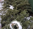 Od utorka 7. januára až do utorka 31. marca 2020 bude spoločnosť OLO zabezpečovať odvoz vianočných stromčekov. Odzdobené vianočné stromčeky je potrebné uložiť v prípad…
