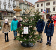 Naša Základná škola a školský klub detí Za kasárňou sa v tomto roku opäť zapojili do adventnej charitatívnej súťaže Vianočný les pod záštitou Bratislavského kultúrneho…