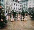 K vianočnej výzdobe v centre Bratislavy prispeli aj šikovné deti zo škôl z Nového Mesta. Na Hlavnom námestí vyrástol čarovný VIANOČNÝ LES, ktorého šesť stromčekov vyzd…