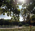 Po čiastočnej revitalizácii Nobelovho parku prídu na rad aj ostatné zelené plochy v Novom Meste. Ešte v minulom roku sa v parku na Račianskom mýte uskutočnila verejná …