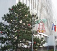 Starosta Nového Mesta Rudolf Kusý pozýva všetkých Novomešťanov na slávnostné otvorenie Vianoc v našej mestskej časti.
V stredu 5. decembra o 16.00 hod. bude pred Mies…