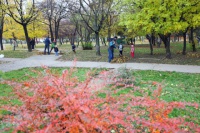 V parku na „Račku“ vyšetrili vyše 550 stromov a drevín