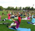 Fanúšikovia jogy sa aj toto leto môžu tešiť na pravidelné podvečerné cvičenia na Kuchajde. Mestská časť Bratislava – Nové Mesto už tretí rok po sebe zaradila jogu, kto…