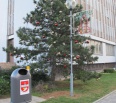 V pondelok 2. decembra o 16.00 hod. bude pred Miestnym úradom na Junáckej ulici č. 1 slávnostne rozsvietený novomestský vianočný stromček – symbolicky sa tak odštartuj…