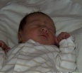 Prvým tohtoročným novorodencom v bratislavskom Novom Meste je dievčatko, ktoré dostalo meno Sofia. Na svet prišla na Nový rok 1. januára 2014 o 6.20 hod. v nemocnici n…