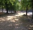 Park na Sadovej v bratislavskom Novom Meste dostane čoskoro novú podobu. Mestská časť začala s jeho revitalizáciou. V priebehu septembra by mal byť projekt hotový tak,…