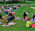 Komunita priaznivcov letnej jogy na bratislavskej Kuchajde sa opäť rozrástla. Populárna akcia, ktorú mestská časť Bratislava – Nové Mesto organizovala už štvrtý rok po…