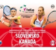 Do Bratislavy sa opäť vracia svetový tenis! Slovenské tenistky nastúpia v play off o účasť v II. svetovej skupine Fed Cupu pre rok 2017 proti Kanade. V akcii sa predst…