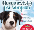 Majitelia a milovníci psíkov, pozor! Už o pár dní, v sobotu 10. júna, vás spolu s Výcvikovým a kynologickým centrom SAR DA Slovakia pozývame na 6. ročník tradičnej súť…