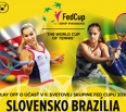 V sobotu 20. a v nedeľu 21. apríla bude bratislavské Nové Mesto dejiskom atraktívneho súboja Pohára federácie družstiev žien (FedCup) medzi domácim Slovenskom a Brazíl…